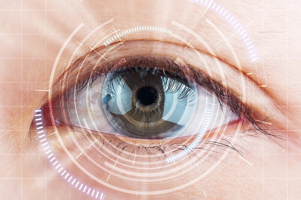 Eye Health and Disorders Of The Eye