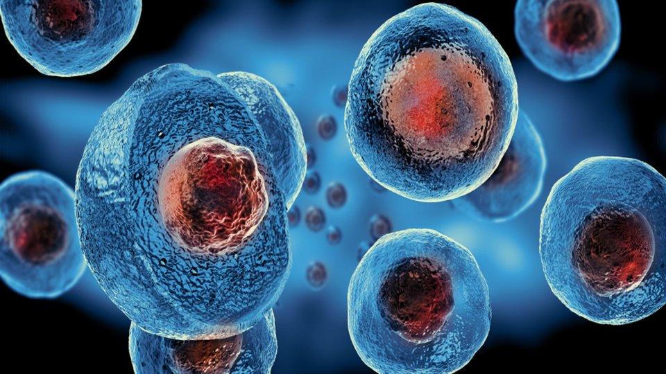 Kök Hücre Tedavisi Nedir?