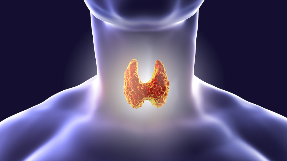 أمراض الغدة الدرقية