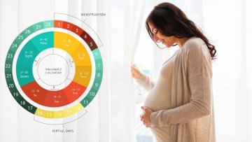 Things to Know About Pregnancy Due Date Calculator 