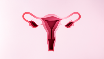 Vaginoplasty