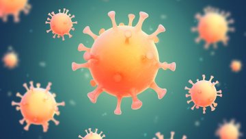 What is Marburg Virus: Symptoms and Everything You Need to Know About the Disease