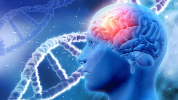 Neurology