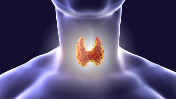 Thyroid Disease