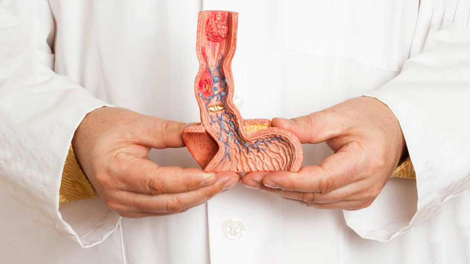 WHAT IS PENILE CANCER?