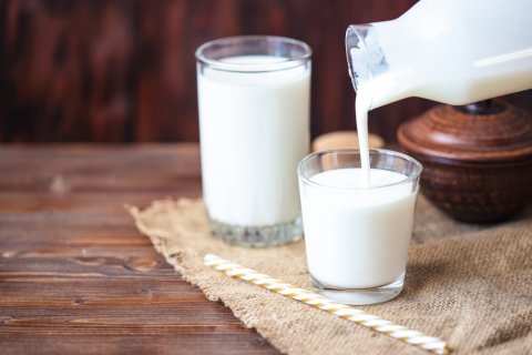7 Benefits of Gut-Friendly Bacteria (Probiotics) 1